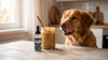 Can Dogs Eat Peanut Butter? Xylitol, Safety & How Much