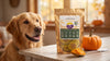 Can Dogs Eat Pumpkin? Benefits, How Much & Safety