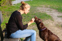 5 Fun New Ways to Give Your Dog Treats