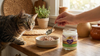 CBD Dosage for Cats: How Much Hemp Oil to Give