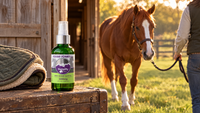 Senior chestnut horse walking soundly out of a barn on a lead rope, beside a bottle of HempMy Pet Equine Formula full-spectrum hemp olive oil on a tack trunk