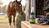 UlcerGard vs GastroGard: Omeprazole for Horses, Dosing, How Long, and Which Ulcers It Heals