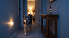Dog Pacing at Night: Won't Lie Down or Can't, the Causes by Age, and What to Do Tonight