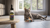 Why Is My Cat Panting? The Eight Causes, the Fifteen-Minute Rule, and When It's an Emergency