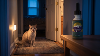 Senior cat meowing in a dim hallway at night beside a night-light, with a HempMy Pet 250mg hemp seed oil bottle on the hall table