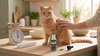 Benadryl for Cats: How Much Is Safe, and Why It Often Doesn't Work