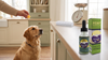 Benadryl for Dogs: How Much by Weight, and the Trial That Found It Didn't Work