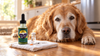 Peptides vs CBD for Dogs: Evidence, Cost, Legality and Which Fits Your Dog