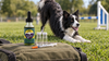 TB-500 for Dogs: What It Does, How It Differs from BPC-157, and Who Should Not Use It