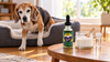 Peptides for Dogs with Arthritis: Which Ones Have Dog Evidence, Which Don't, and What to Try First
