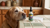 Aspirin for Dogs: A Chart by Weight, and Why Most Charts Run High