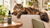 Largest Domestic Cat Breeds: Size and Weight Compared