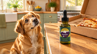 A hopeful dog looking up at an open pizza box on a kitchen counter next to a HempMy Pet 1000mg hemp oil bottle