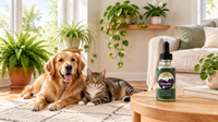 Golden retriever and tabby cat relaxing in a living room with pet-safe Boston fern and spider plant at floor level, pothos and peace lily on a high shelf, and a HempMy Pet 1000mg hemp oil bottle on the side table