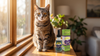 How Long Do Cats Live? What 7,936 Cats Show