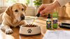 Best Hemp Oil for Dogs: 7 Brands Compared by Price per mg