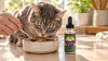 Best CBD Oil for Cats: 8 Products Compared