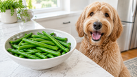 Lightly steamed trimmed green beans in a bowl with a golden doodle beside the counter