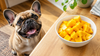 Can Dogs Eat Mango? The Pit Is the Real Problem