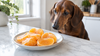 Can Dogs Eat Oranges? What to Peel Off First