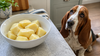 Can Dogs Eat Potatoes? Cooked Yes, Raw No