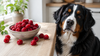 Can Dogs Eat Raspberries? Yes, With One Catch