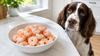 Can Dogs Eat Shrimp? Cooked Yes, Raw No