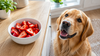 Can Dogs Eat Strawberries? Benefits, Servings and Safety