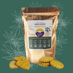 Large Dog Formula Organic Hemp Dog Treats, Pumpkin Flavor- 5mg CBD ea