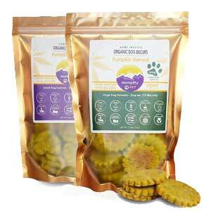 dog-biscuits