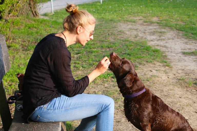 Hemp Dog Treats