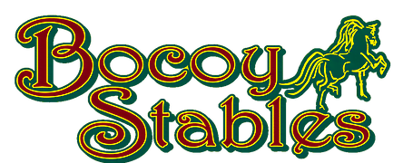 bocoy-stables-logo
