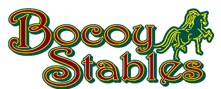 bocoy-stables-logo