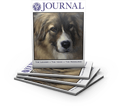 Dog Journal