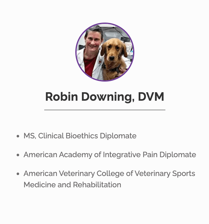 veterinarian and dog