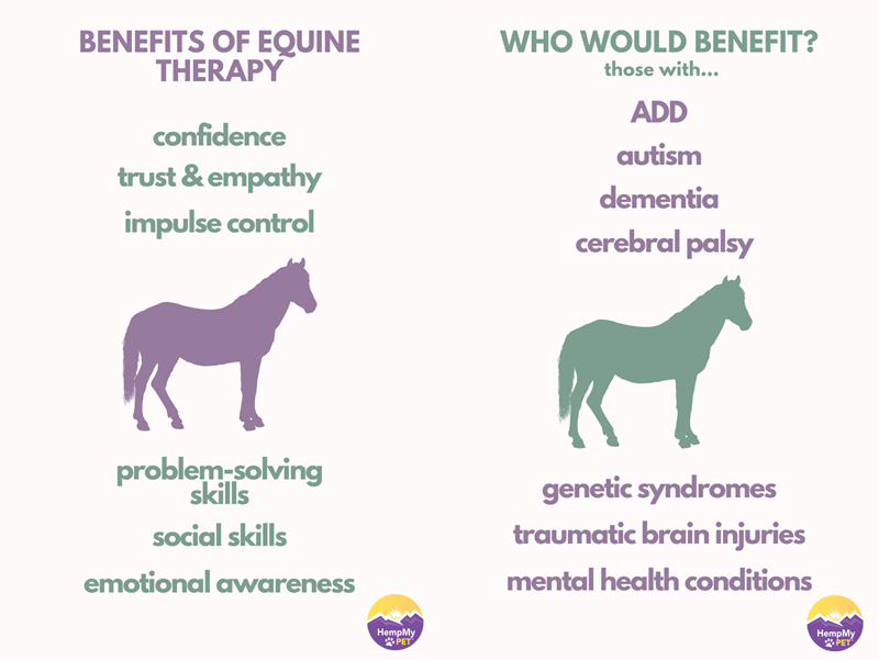 Benefits of Equine Therapy