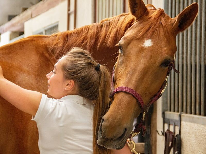 woman and horse helping each other