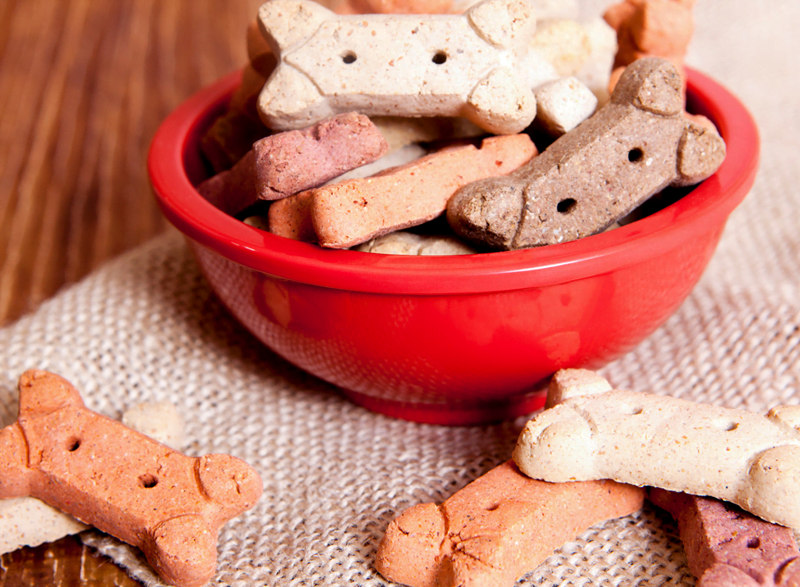 bowl of dog treats