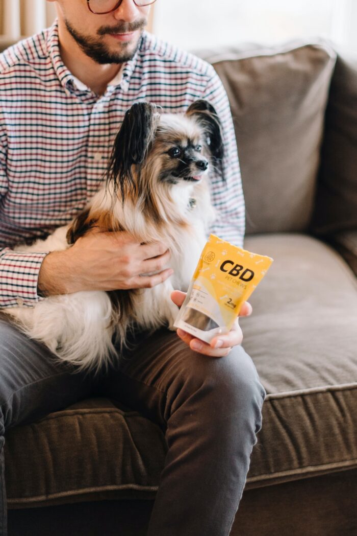 dog and owner reading a book about CBD