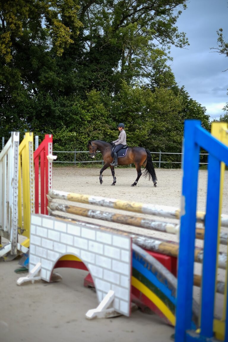 mare horse with a rider