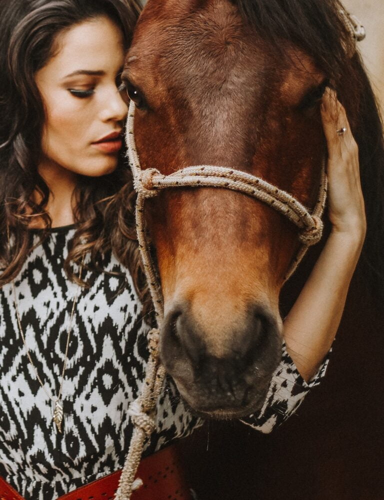 horse with lady veterinarian